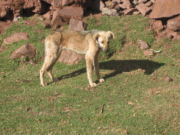 Peru-08.2.Andes-Trek.020