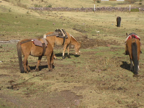 Peru-08.2.Andes-Trek.021