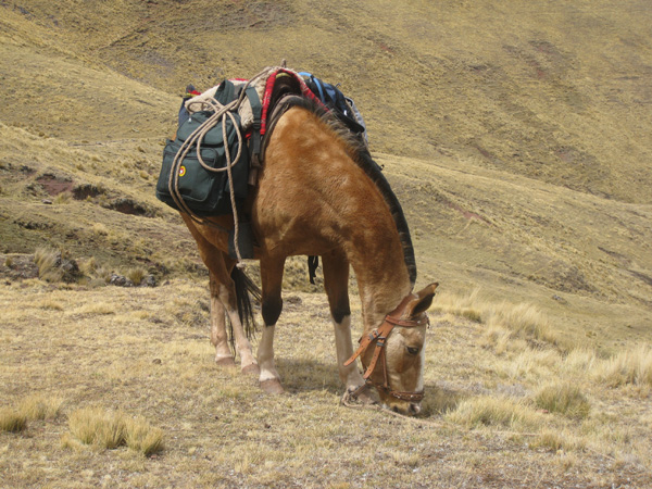 Peru-08.2.Andes-Trek.039