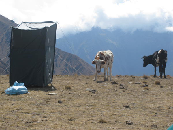 Peru-08.2.Andes-Trek.091