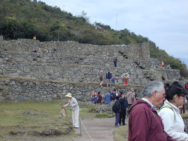 Blair.Peru-08-4.Machu-Picchu.018