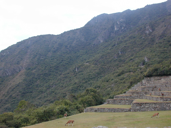 Blair.Peru-08-4.Machu-Picchu.022